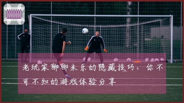 老玩家聊聊米乐的隐藏技巧，你不可不知的游戏体验分享