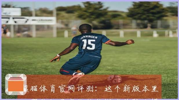 熊猫体育官网评测：这个新版本里，那些细节变化让你游戏体验大提升！