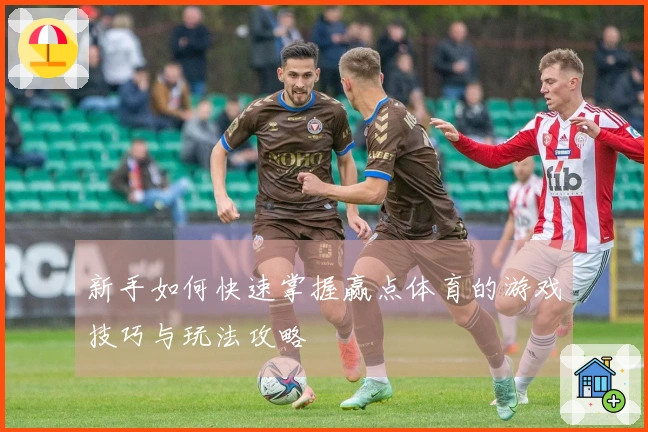 新手如何快速掌握赢点体育的游戏技巧与玩法攻略